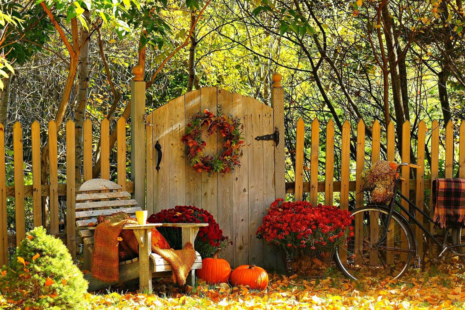 nature esen feuille dyrveta fleurissant montagne bicyclette café bol couronne automne feuilles arbres fleurs forêt café tasse couronne