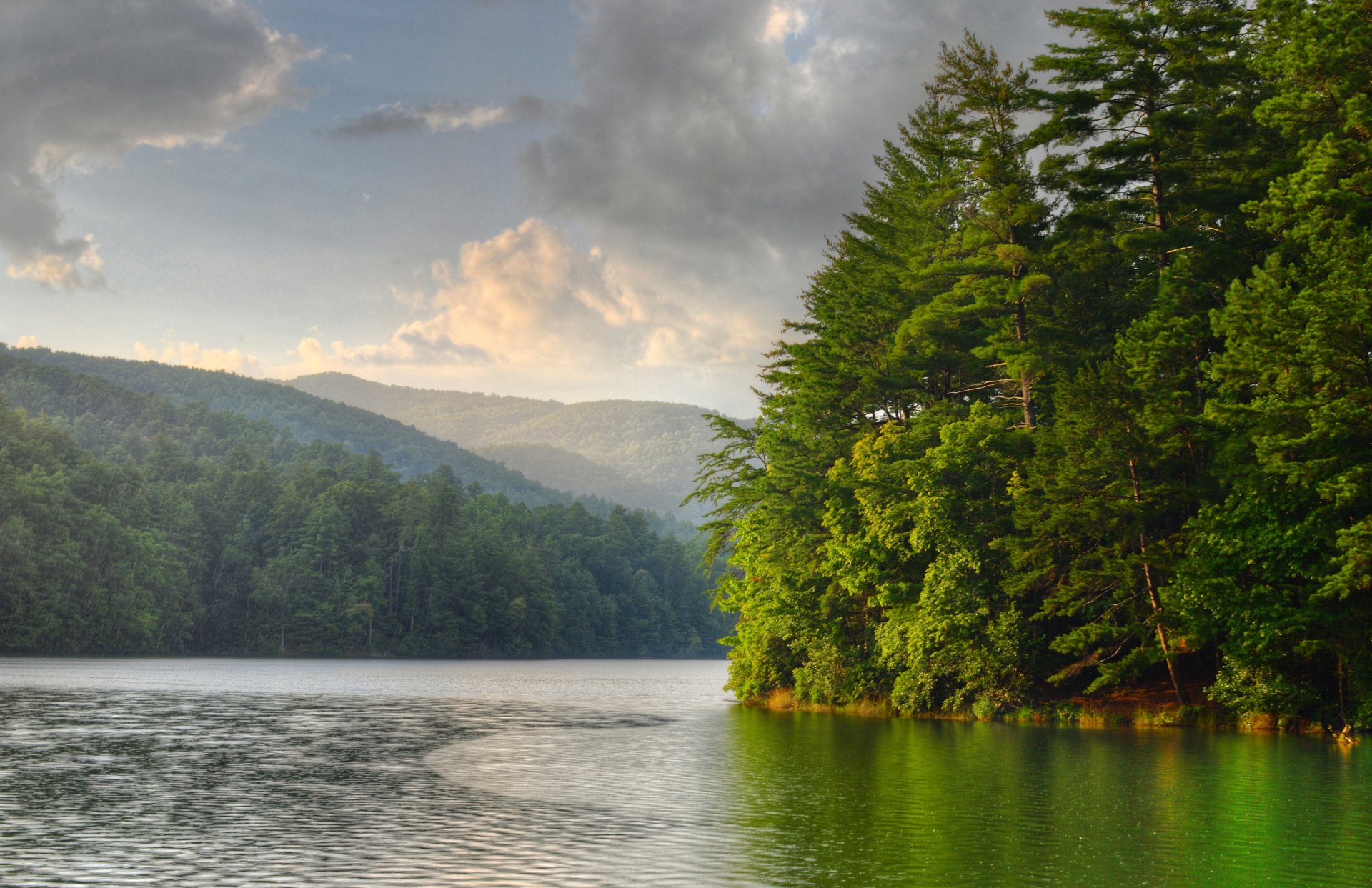 lac forêt matin