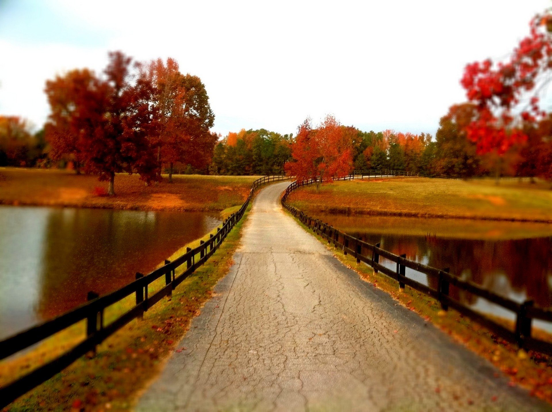 naturaleza río agua bosque parque árboles hojas colorido otoño caída colores paseo naturaleza montañas cielo río