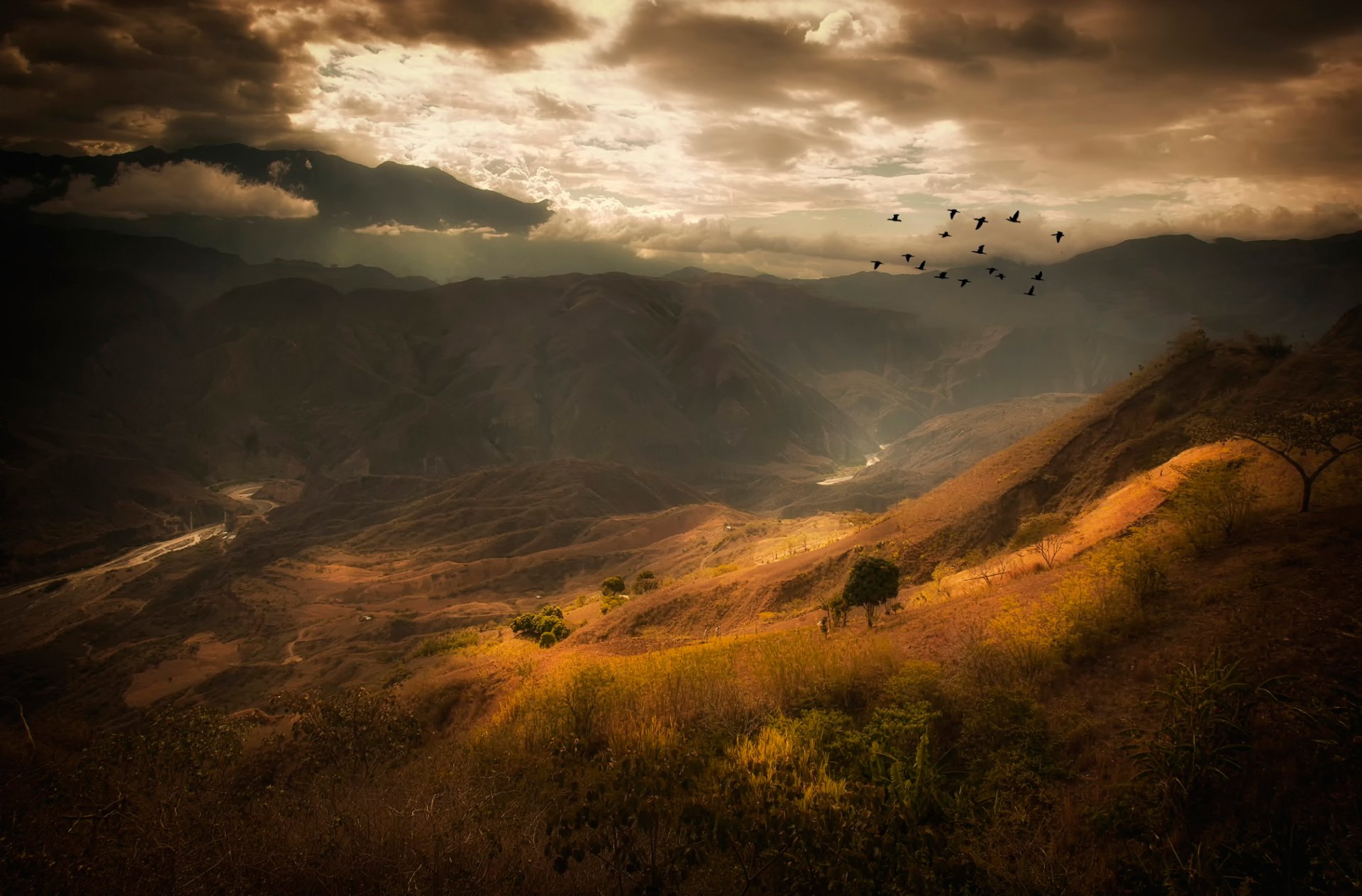 montagnes nuages oiseaux