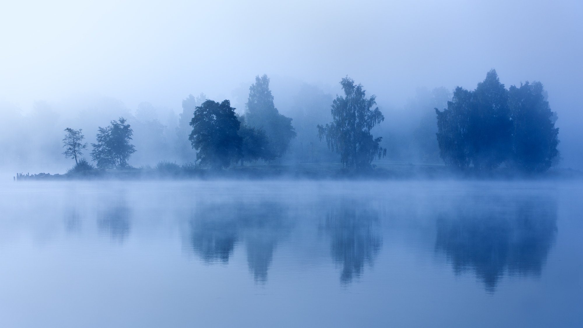 poranek zmierzch mgła jezioro drzewa