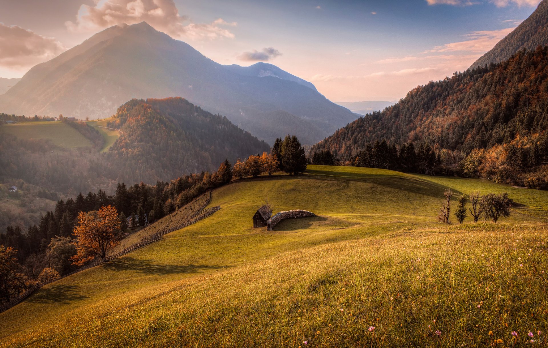 montagne foresta fienile