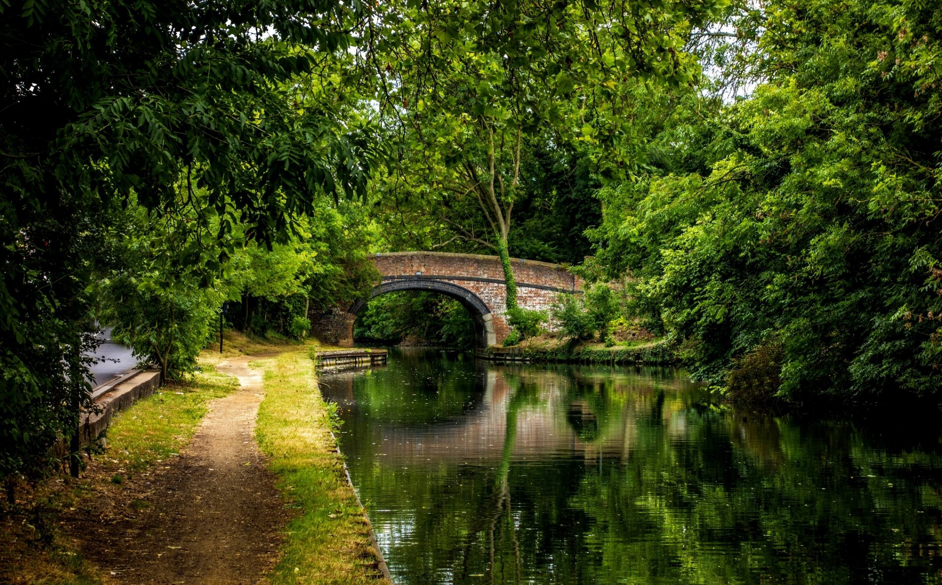 parque callejón árboles bosque paseo naturaleza río agua ver puente reflexión vista