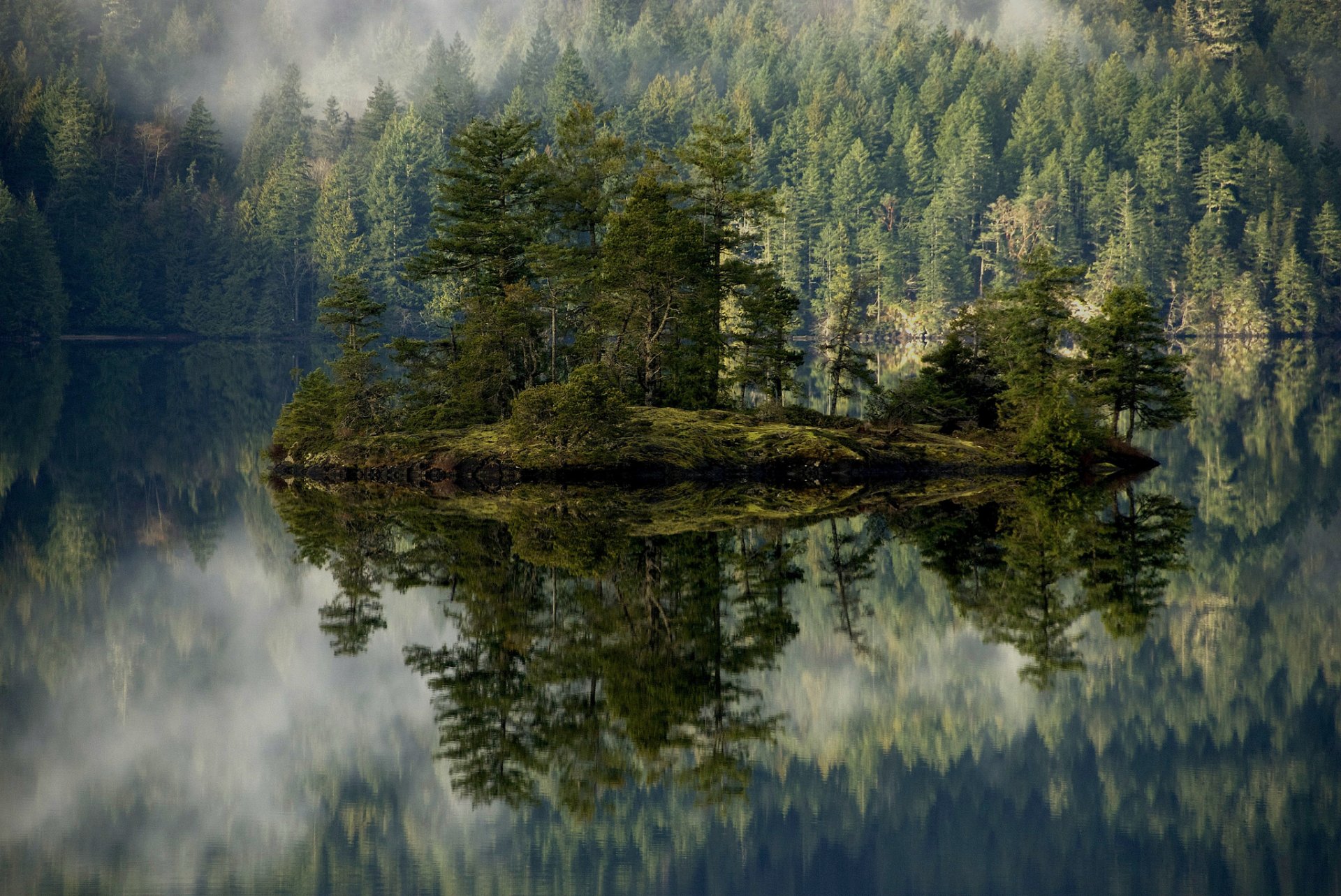 montagnes arbres lac île brouillard