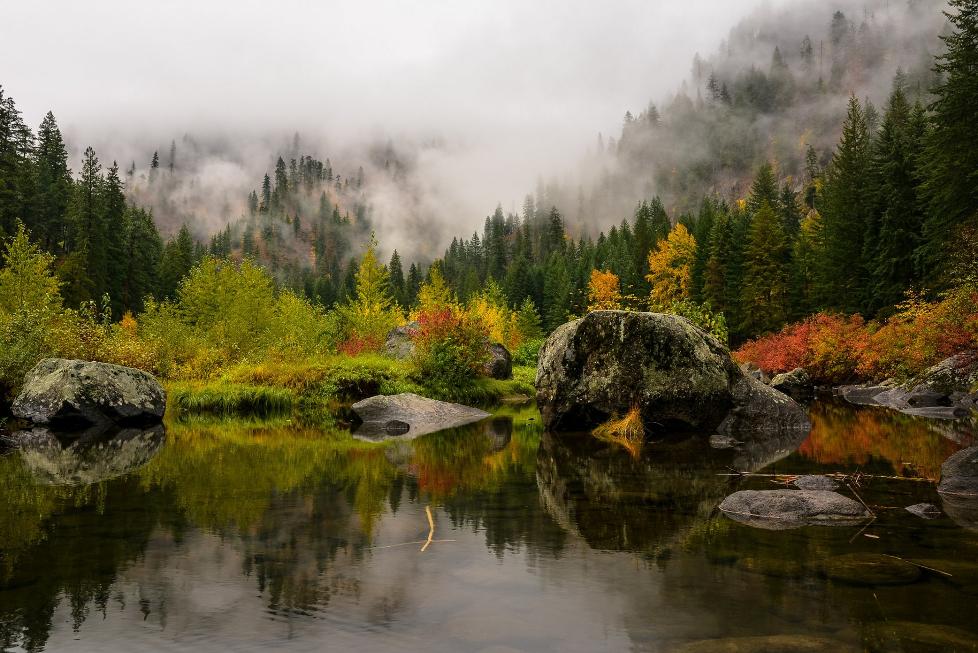 mountain forest fog tree lake stone