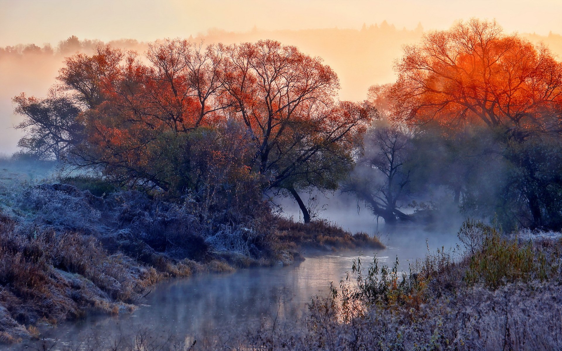 mañana río niebla naturaleza