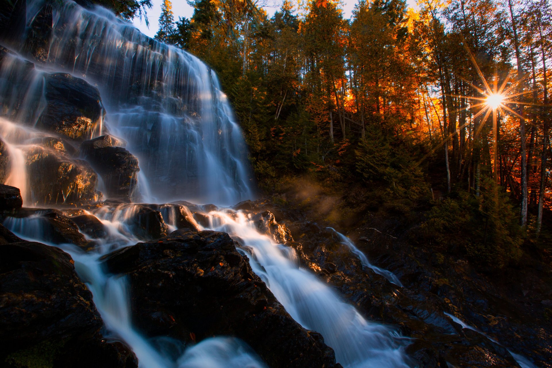 autumn forest waterfall rock tree sun