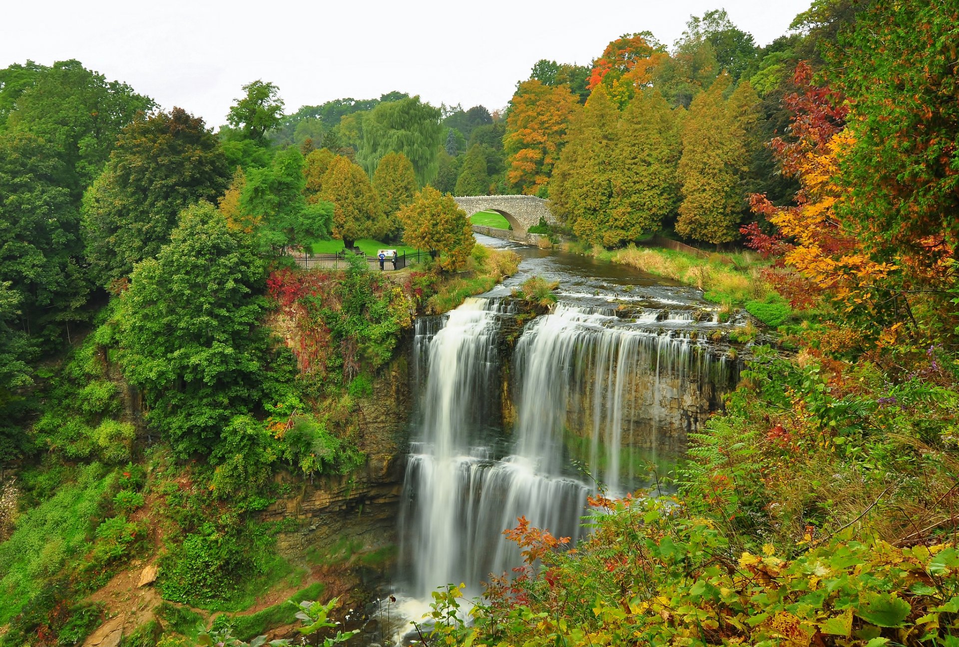 bosque parque árboles otoño río puente cascada