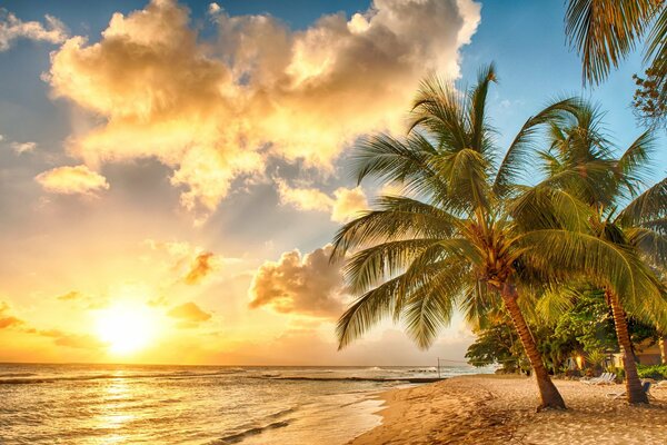Coucher de soleil sur la plage paradisiaque