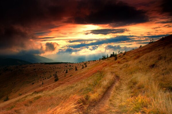 Slope with yellow grass on sunset background