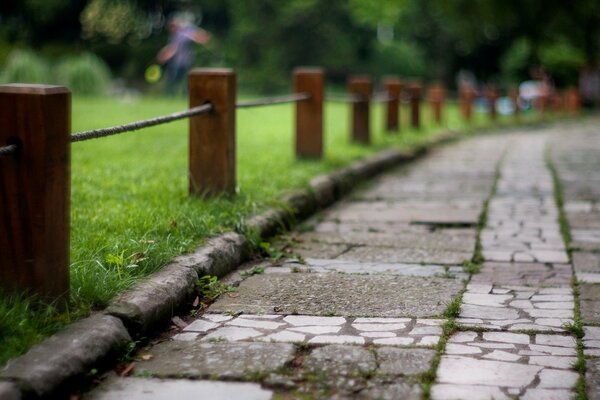 Na tapecie malowana jest natura