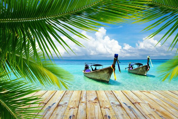 Tropical landscape with boats and palm trees