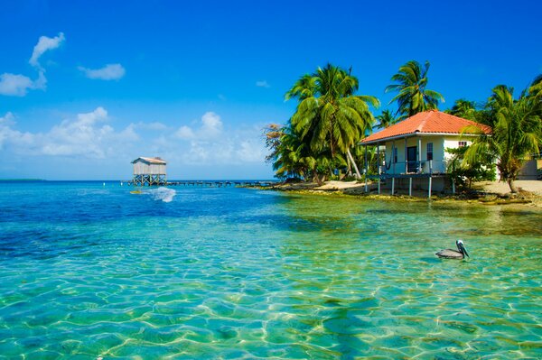 Bungalow na plaży Paradise Island