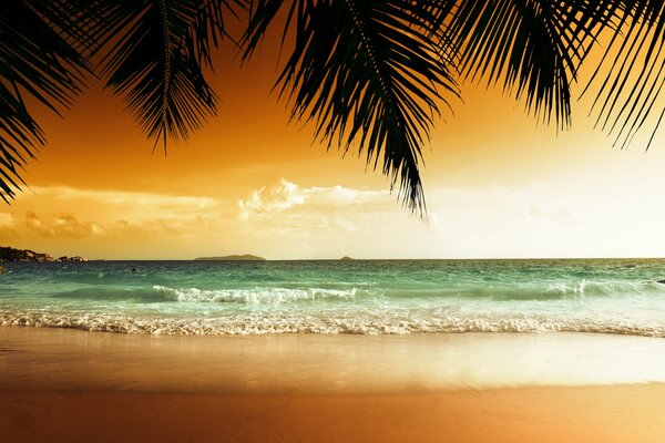 Hermosa puesta de sol en una playa paradisíaca