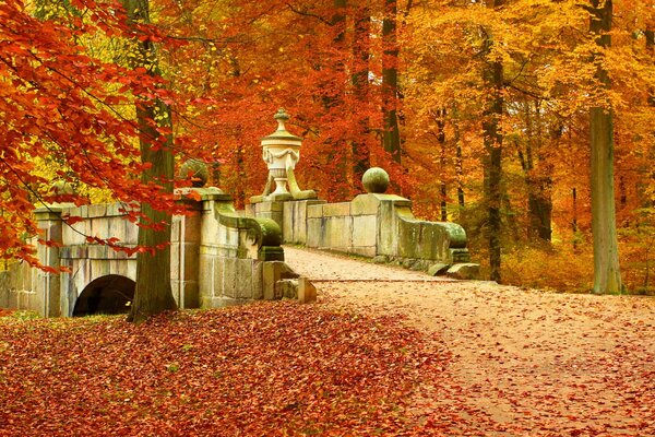 Paisaje de otoño con un puente antiguo