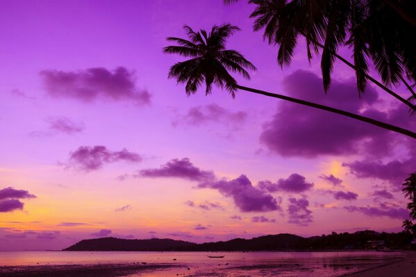 Playa tropical al atardecer