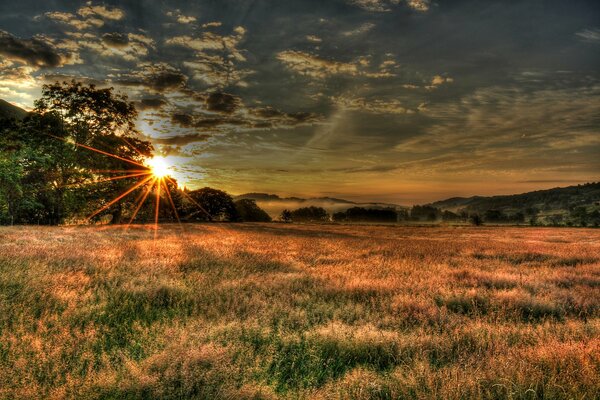 Ciel coucher de soleil avec les rayons du soleil sur le champ