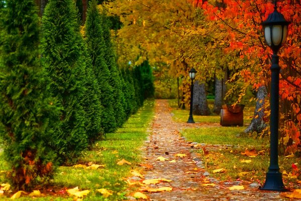 Herbstpark mit Laub, Nadelholz, Laterne und Gehweg