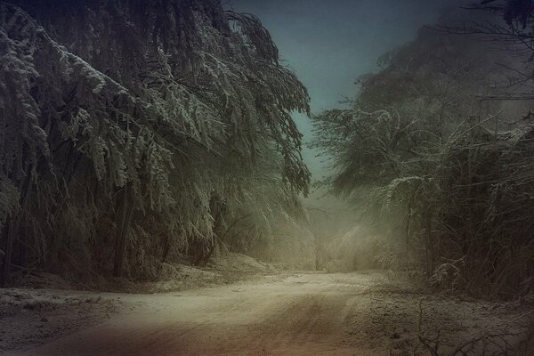 Winter night road through the forest