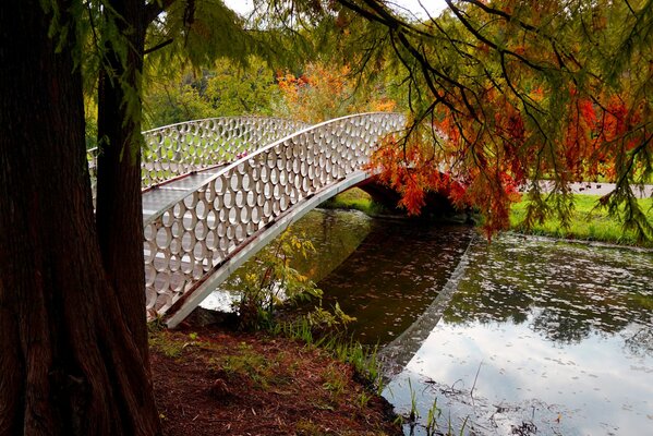 Puente sobre el río en un colorido parque en otoño