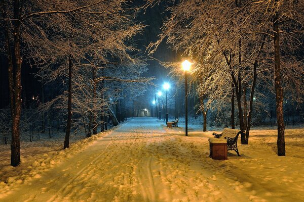 Romantischer Abend im Winterpark auf einer Bank
