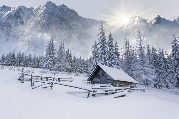 Waldhütte im Winterwald