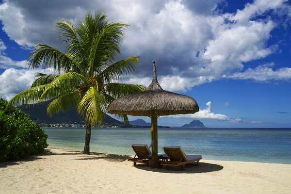 Spiaggia paradisiaca tropicale con palme
