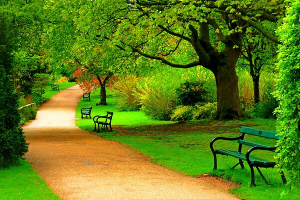 Strada nel parco, immagine artistica