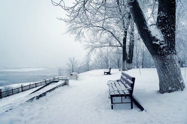 Parque de invierno cerca del río