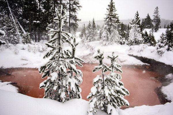 Winterwald und heiße Quelle