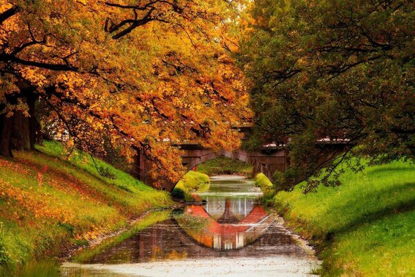 Saftige Farben des herbstlichen Laubs im Park am Fluss