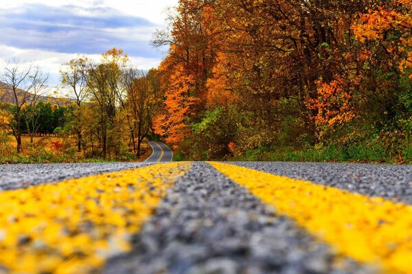 Pinturas coloridas de paisajes de otoño