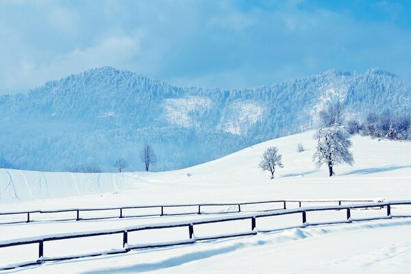 Winterlandschaft und Brücke über den Fluss