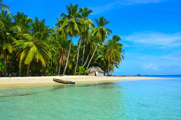 Домик под пальмами у пляжа в тропиках