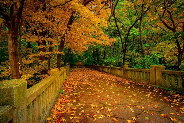 Прогулка по мосту в осенней листопад
