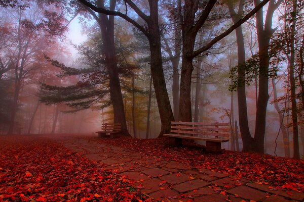 A bench for lovers in the park