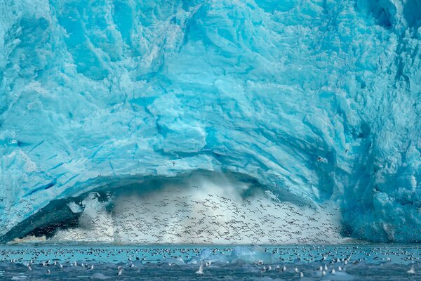 Fotos de iceberg y pájaros volando alrededor