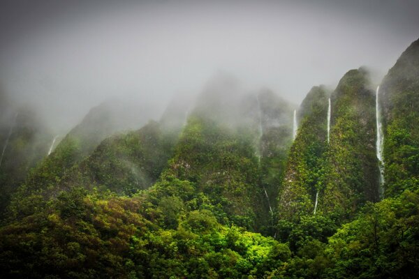 Fog among mountains and waterfalls