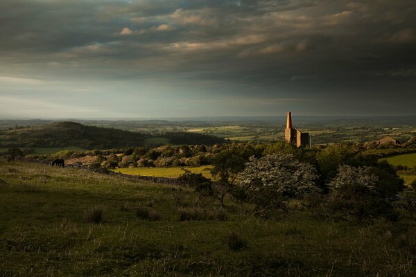 Landscape in green tones. English landscape