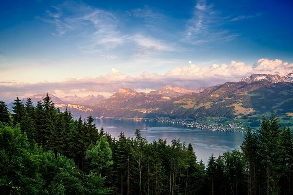 Der Zürichsee in der Schweiz und die Natur