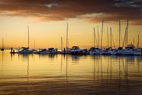 Sailing yachts at sunset
