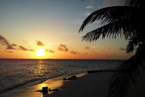 Sunset on the beach. Maldives sunset on the beach