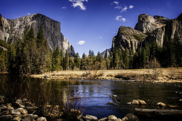 Rocky Mountains landscape on the river bank