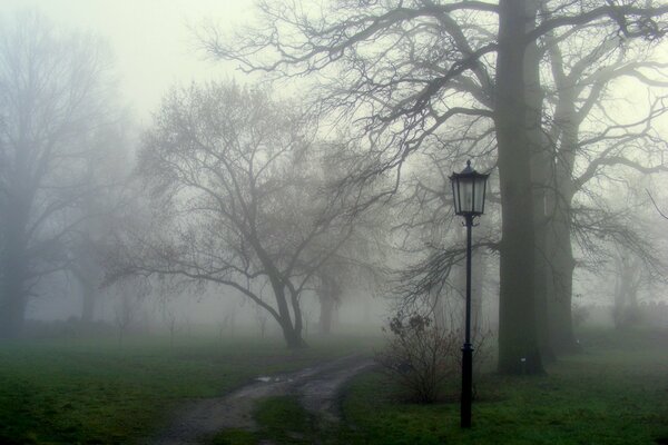 Sentier dans un parc sombre et brumeux