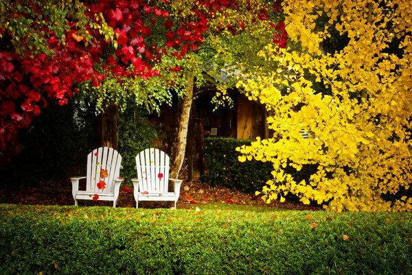 Chaises en bois dans la cour d automne