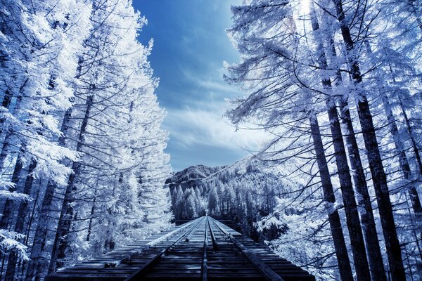 Railway through the winter forest