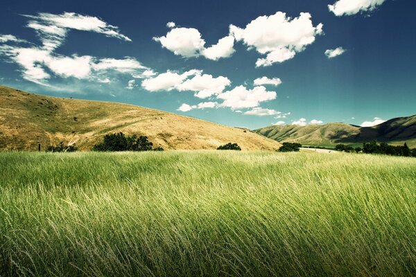 Hermoso paisaje verde valle