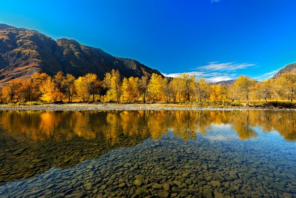 Der Herbstwald spiegelt sich im See wider