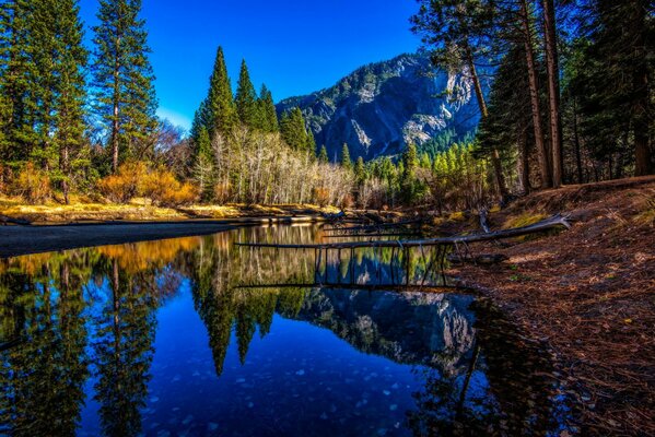 River in Yosemite National Park