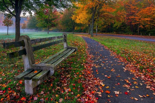 Eine Bank unter Herbstlaub